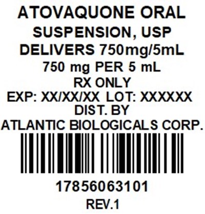 Image Description (Rev. 1 Label)